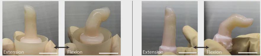 东大造出"活体皮肤"机器人手指！内置循环系统，7天不会干，还能自我修复(图1)